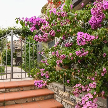 Casa Elka 8 Pieve (Lombardy)
